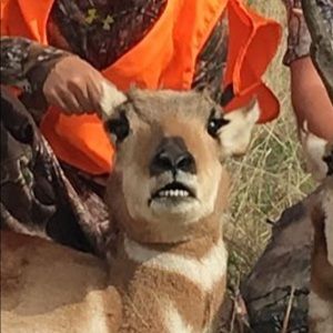 Meet your Posher, Amber